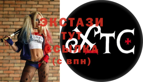 шишки Абаза
