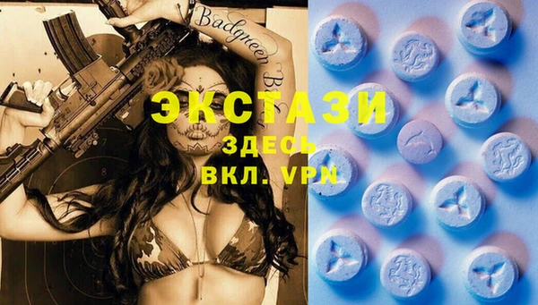 шишки Абаза