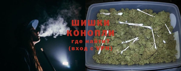шишки Абаза
