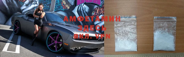 шишки Абаза