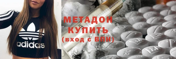 шишки Абаза