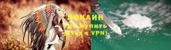 шишки Абаза