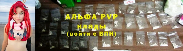 шишки Абаза
