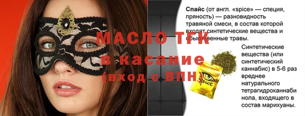 шишки Абаза