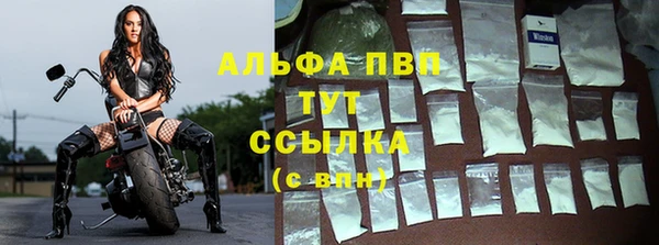 шишки Абаза