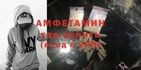 шишки Абаза
