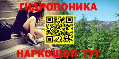 амф Кимры