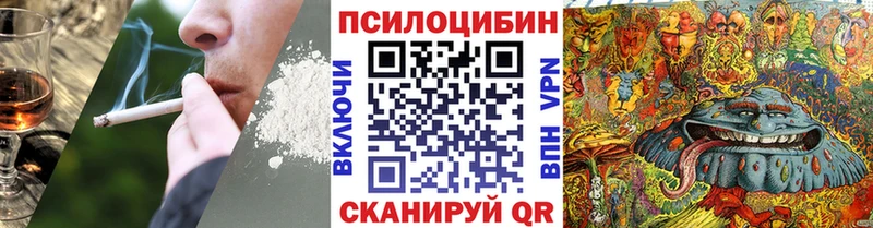 Галлюциногенные грибы Psilocybe  наркотики  Красноперекопск 