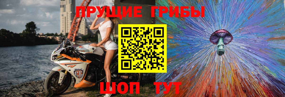 Псилоцибиновые грибы Cubensis Красноперекопск